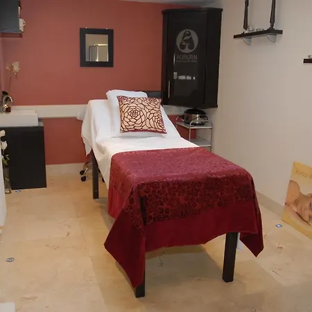 فندق Auburn & Leisure Centre اينيس