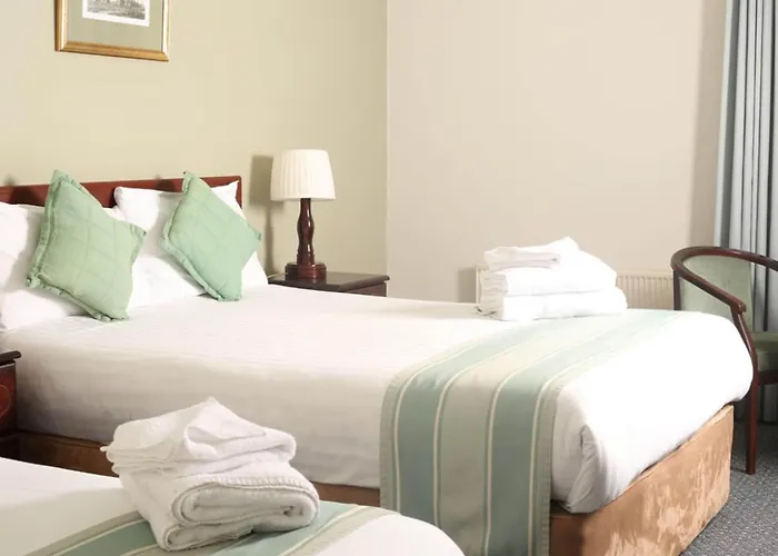 מלון Auburn & Leisure Centre אניס